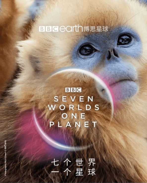 BBC紀(jì)錄片《七個(gè)世界一個(gè)星球》國語1080P全集下載