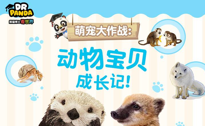《熊貓博士看世界》系列百科知識短片合集【26部】 百度網(wǎng)盤下載