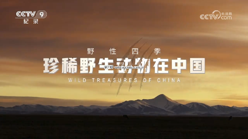 央視紀錄片《野性四季：珍稀野生動物在中國》全5集百度網盤下載