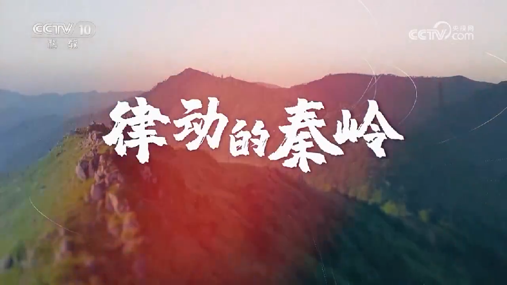 央視紀錄片《律動的秦嶺》全24集網盤下載