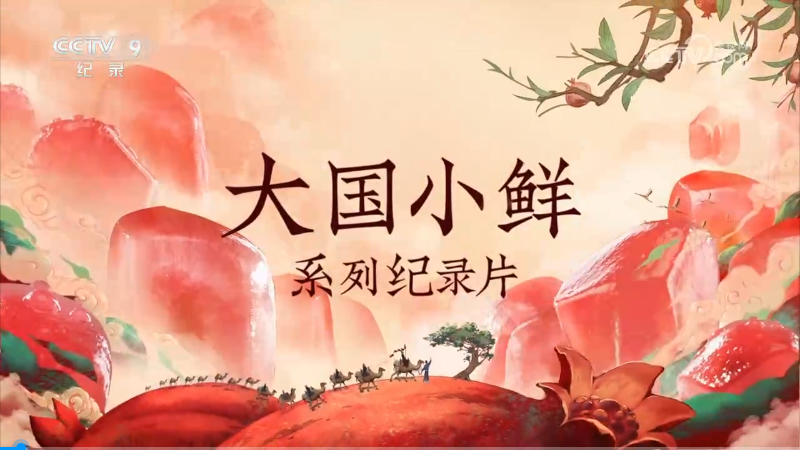 央視紀(jì)錄片《大國(guó)小鮮—石榴說(shuō)》全集網(wǎng)盤下載